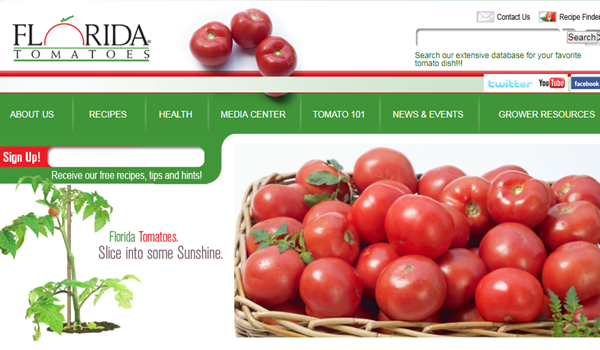 佛罗里达是美国的头号番茄种植地，有众多番茄农场主组织。图为佛州番茄委员会官网。